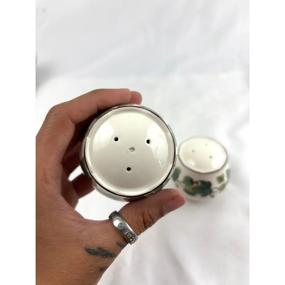 VTG‎ Green Ivy Plant Salt and Pepper Ceramic Shakers Japan Set